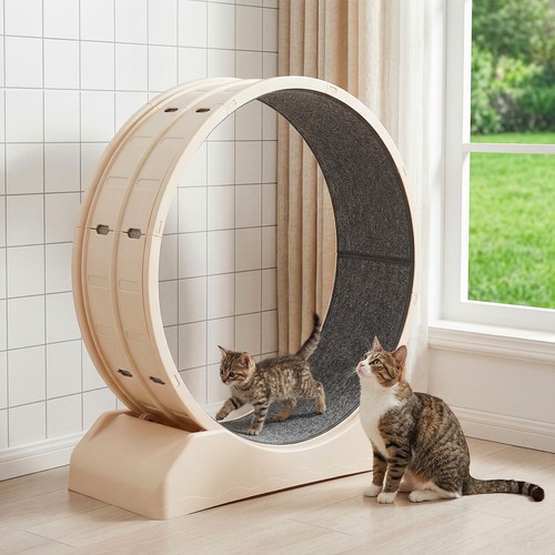 110 katzen laufrad - cm, für
