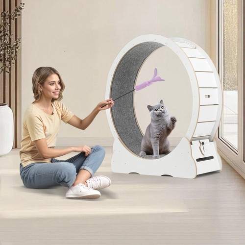 110cm laufrad für - laufrad, katzen