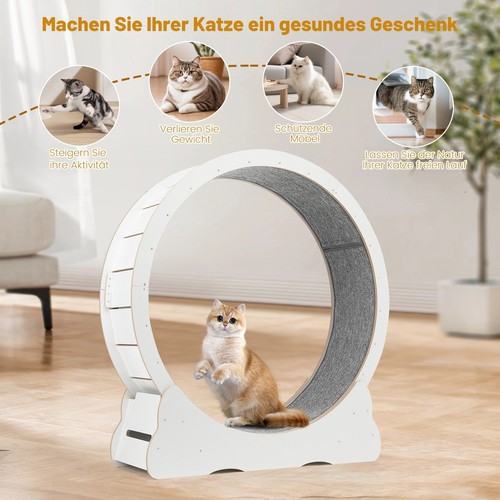 110cm laufrad für - laufrad, katzen