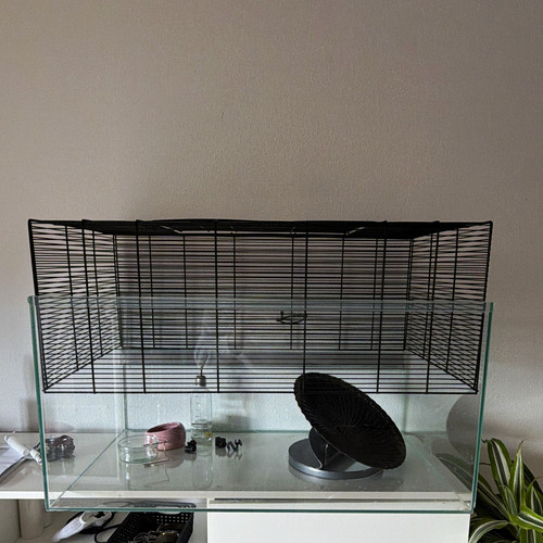 Glas nagarium für hamster - glas-nagarium,