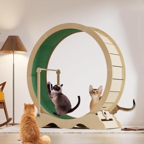 Katzenlaufrad groß cat - katzenlaufrad,
