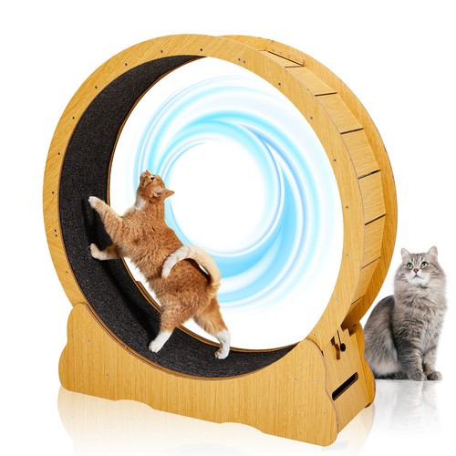 Katzenlaufrad cat laufrad - katzenlaufrad,